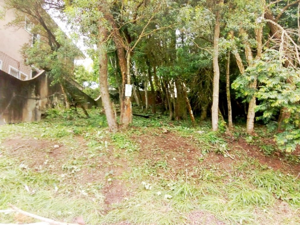 Terreno em Condomnio - Venda - Granja Viana - Carapicuba - SP