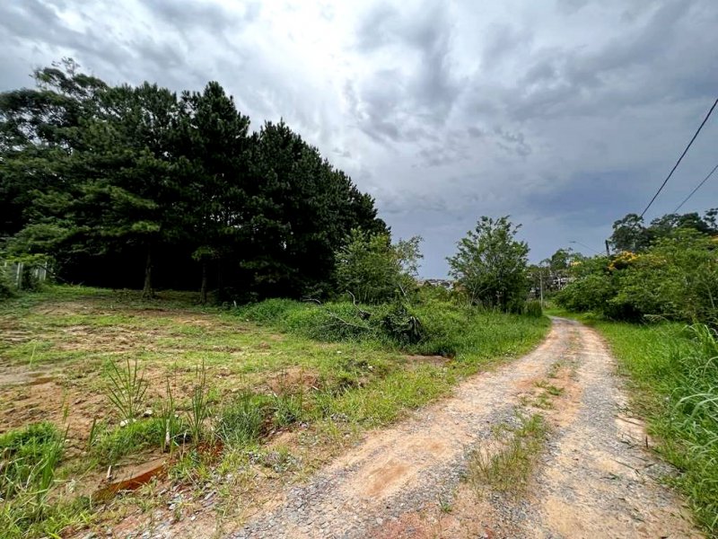 Terreno em Condomnio - Venda - Granja Viana - Carapicuba - SP