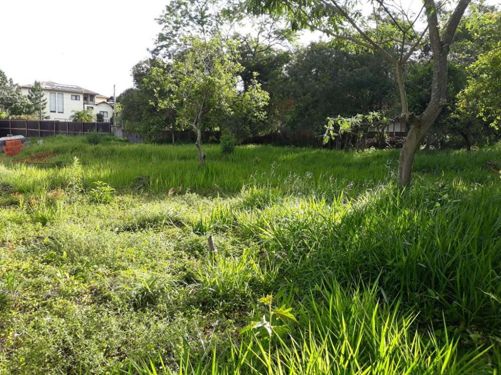 Terreno em Condomnio - Venda - Granja Viana - Cotia - SP