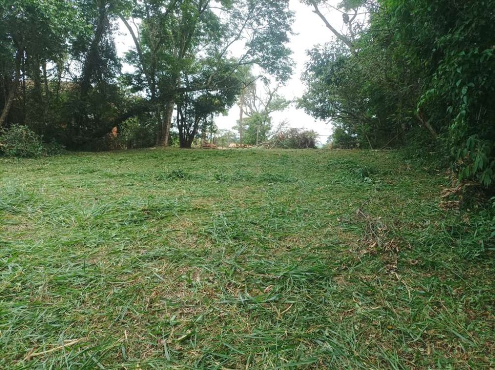 Lote - Venda - Granja Viana - Cotia - SP
