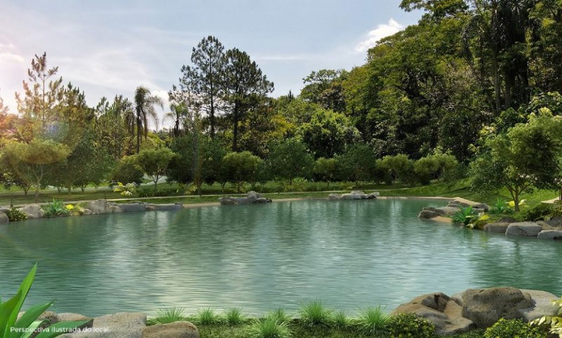 Terreno em Condomínio - Venda - Granja Viana - Cotia - SP