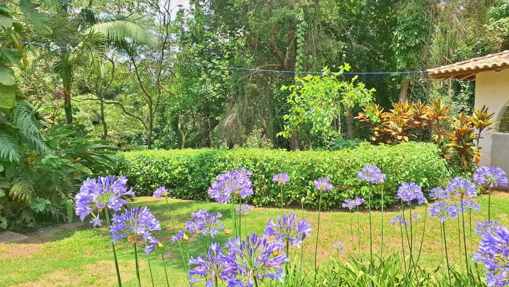 Casa em Condomínio - Venda - Granja Viana - Cotia - SP