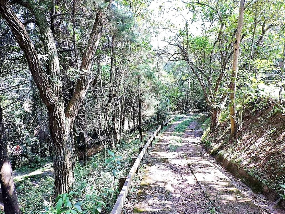 Casa em Condomínio - Venda - Granja Viana - Jandira - SP