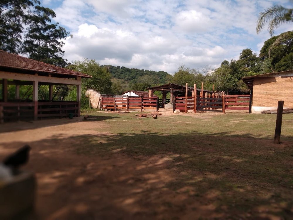 rea - Venda - Araariguama - Araariguama - SP